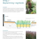Bilag 2_ Beplantning i regnbede_Page_1